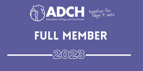 ADCH Full Member Logo (002)