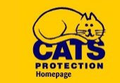 Cat Protection